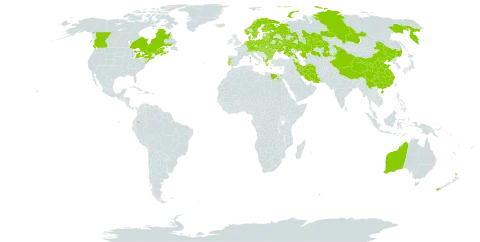 Trifolium medium world distribution map, present in Albania, Armenia, Australia, Austria, Azerbaijan, Belgium, Bulgaria, Belarus, Canada, Switzerland, China, Czech Republic, Germany, Denmark, Ecuador, Egypt, Estonia, Finland, France, Georgia, Greece, Hungary, Iran (Islamic Republic of), Kazakhstan, Lithuania, Latvia, Moldova (Republic of), Netherlands, Norway, New Zealand, Poland, Portugal, Romania, Russian Federation, Slovakia, Sweden, Ukraine, and United States of America