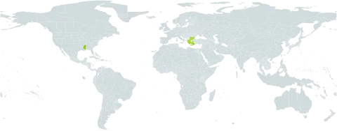 Trifolium michelianum var. balansae world distribution map, present in Bulgaria, Greece, and United States of America