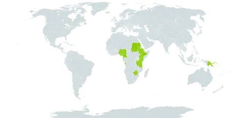 Trifolium rueppellianum world distribution map, present in Angola, Cameroon, Ethiopia, Equatorial Guinea, Kenya, Mauritius, Malawi, Nigeria, Papua New Guinea, Sudan, Tanzania, United Republic of, Uganda, and Zimbabwe