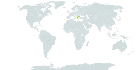 Trifolium tenuifolium world distribution map, present in Albania, Bulgaria, Greece, and Italy