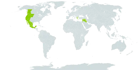 Trifolium variegatum var. variegatum world distribution map, present in Canada, Greece, Iraq, Jordan, Lebanon, Mexico, Syrian Arab Republic, and United States of America