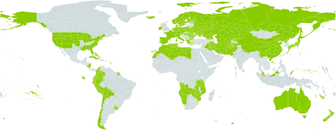 Triglochin world distribution map, present in Afghanistan, Angola, Åland Islands, Albania, Australia, Austria, Bulgaria, Bahamas, Belarus, Bolivia (Plurinational State of), Switzerland, Chile, China, Colombia, Cuba, Cyprus, Czech Republic, Germany, Denmark, Algeria, Ecuador, Spain, Finland, France, Micronesia (Federated States of), Georgia, Greece, Hungary, Ireland, Iran (Islamic Republic of), Iraq, Iceland, Italy, Japan, Kazakhstan, Kyrgyzstan, Libya, Morocco, Montenegro, Mozambique, Malaysia, Namibia, Norfolk Island, Nicaragua, Netherlands, Norway, Nepal, New Zealand, Pakistan, Peru, Palau, Poland, Korea (Democratic People's Republic of), Portugal, Romania, Russian Federation, Sweden, Turks and Caicos Islands, Turkmenistan, Tunisia, Tanzania, United Republic of, Ukraine, Uruguay, United States of America, Uzbekistan, Zambia, and Zimbabwe