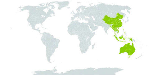 Trigonostemon world distribution map, present in Andorra, Australia, Bangladesh, China, Indonesia, Lao People's Democratic Republic, Myanmar, Philippines, Thailand, and Viet Nam