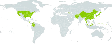 Trillium world distribution map, present in Afghanistan, Åland Islands, China, Colombia, Micronesia (Federated States of), Georgia, Japan, Myanmar, Malaysia, Nicaragua, Nepal, Pakistan, Korea (Democratic People's Republic of), Taiwan, Province of China, and United States of America