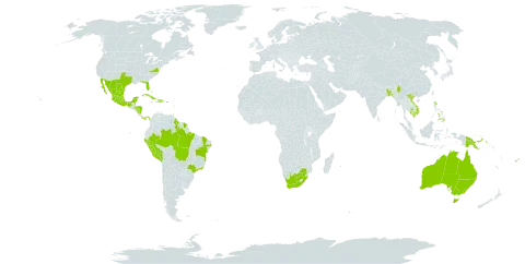 Triphasia trifolia world distribution map, present in Antigua and Barbuda, Australia, Bonaire, Sint Eustatius and Saba, Bangladesh, Bahamas, Belize, Brazil, Barbados, Cuba, Cayman Islands, Dominica, Dominican Republic, Fiji, Micronesia (Federated States of), Guadeloupe, Grenada, French Guiana, Guam, Guyana, Honduras, Haiti, India, Jamaica, Cambodia, Saint Kitts and Nevis, Saint Lucia, Maldives, Mexico, Myanmar, Northern Mariana Islands, Montserrat, Martinique, Mauritius, Nicaragua, Panama, Peru, Philippines, Papua New Guinea, Puerto Rico, Réunion, Trinidad and Tobago, United States of America, Saint Vincent and the Grenadines, Viet Nam, and South Africa