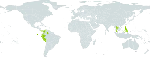 Triplaris cumingiana world distribution map, present in Colombia, Ecuador, Panama, Peru, Philippines, Puerto Rico, Thailand, and Venezuela (Bolivarian Republic of)