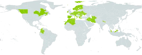 Trisetum flavescens subsp. flavescens world distribution map, present in Albania, Austria, Bulgaria, Belarus, Canada, Switzerland, Colombia, Czech Republic, Germany, Algeria, Spain, Finland, France, Greece, Hungary, Ireland, Iran (Islamic Republic of), Iraq, Italy, Morocco, Malaysia, Netherlands, Norway, Nepal, Poland, Portugal, Romania, Sweden, Turks and Caicos Islands, Turkmenistan, Tunisia, and Ukraine