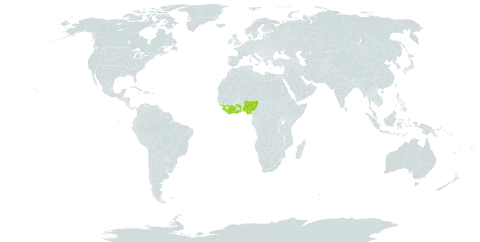Tristemma akeassii world distribution map, present in Côte d'Ivoire, Ghana, Guinea, Liberia, Nigeria, Sierra Leone, and Togo