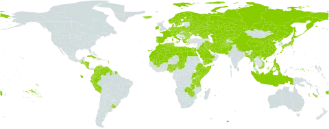 Triticum aestivum subsp. aestivum world distribution map, present in Afghanistan, Åland Islands, Albania, Austria, Bangladesh, Bulgaria, Belarus, Switzerland, China, Colombia, Costa Rica, Cuba, Cyprus, Czech Republic, Germany, Dominica, Denmark, Algeria, Ecuador, Egypt, Spain, Ethiopia, Finland, Fiji, France, Micronesia (Federated States of), Georgia, Greece, Guatemala, Guyana, Honduras, Haiti, Hungary, Indonesia, Ireland, Iran (Islamic Republic of), Iraq, Iceland, Italy, Japan, Kazakhstan, Kenya, Kyrgyzstan, Kuwait, Libya, Morocco, Mali, Myanmar, Montenegro, Mauritania, Malaysia, Nigeria, Nicaragua, Netherlands, Norway, Nepal, Pakistan, Peru, Philippines, Poland, Puerto Rico, Korea (Democratic People's Republic of), Portugal, Romania, Russian Federation, Rwanda, Saudi Arabia, Somalia, Sweden, Turks and Caicos Islands, Chad, Turkmenistan, Tunisia, Tanzania, United Republic of, Uganda, Ukraine, Uruguay, Uzbekistan, Venezuela (Bolivarian Republic of), Viet Nam, Yemen, Zambia, and Zimbabwe