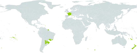Tropaeolum pentaphyllum world distribution map, present in Argentina, Brazil, France, New Zealand, Paraguay, and Uruguay