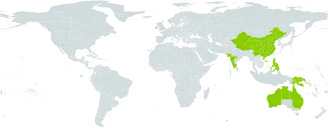 Turraea pubescens world distribution map, present in Australia, China, India, Philippines, and Papua New Guinea