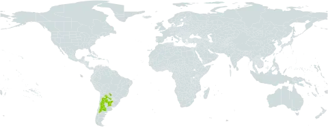 Tweedia brunonis world distribution map, present in Argentina, Bolivia (Plurinational State of), Paraguay, and Uruguay