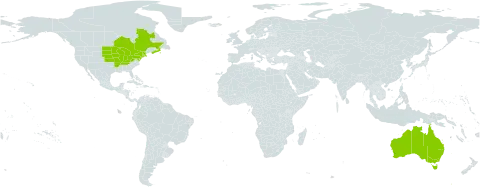 Ulmus thomasii world distribution map, present in Australia, Canada, and United States of America