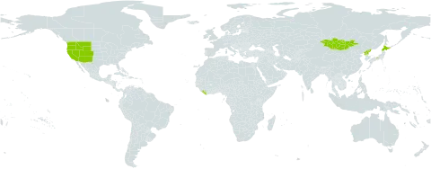 Urtica dioica subsp. holosericea world distribution map, present in China, Japan, Liberia, Mongolia, Korea (Democratic People's Republic of), and United States of America
