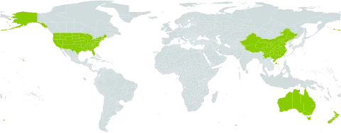 Urtica world distribution map, present in Australia, China, New Zealand, and United States of America
