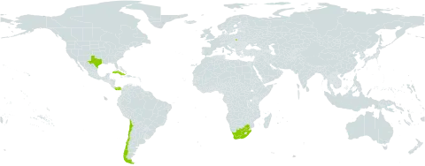 Urvillea world distribution map, present in Chile, Cuba, Sri Lanka, Panama, Poland, United States of America, and South Africa