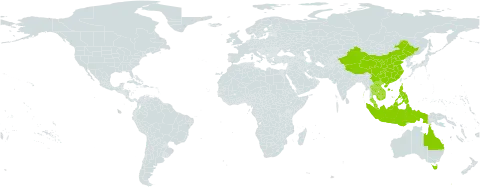 Uvaria rufa world distribution map, present in Australia, China, Indonesia, India, Cambodia, Lao People's Democratic Republic, Malaysia, Philippines, Thailand, and Viet Nam