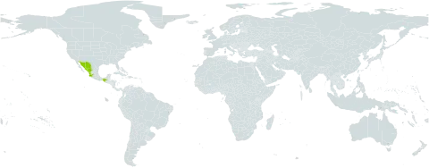 Valeriana apiifolia world distribution map, present in Mexico