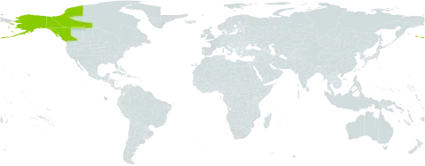 Valeriana capitata world distribution map, present in Canada and United States of America