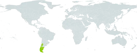 Valeriana carnosa world distribution map, present in Argentina, Chile, and Uruguay