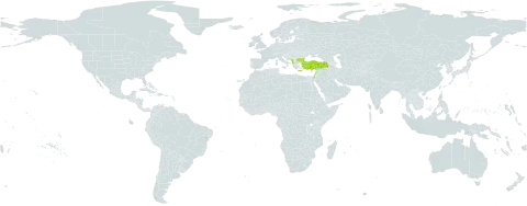 Valeriana italica world distribution map, present in Albania, Bulgaria, Cyprus, Greece, Israel, Lebanon, Montenegro, and Turkey