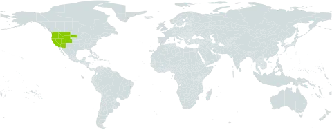 Valeriana occidentalis world distribution map, present in United States of America