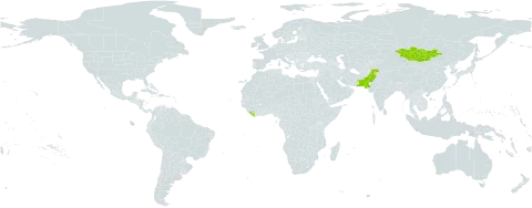 Valeriana petrophila world distribution map, present in Afghanistan, Liberia, Mongolia, and Pakistan