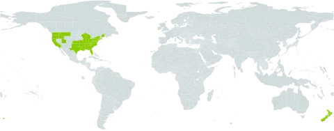 Valerianella world distribution map, present in New Zealand and United States of America
