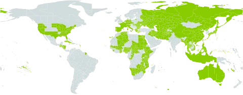 Vallisneria world distribution map, present in Afghanistan, Åland Islands, Australia, Burkina Faso, Bangladesh, Bulgaria, Botswana, Central African Republic, Switzerland, China, Congo, Cabo Verde, Cuba, Czech Republic, Germany, Dominica, Algeria, Egypt, Spain, Ethiopia, France, Micronesia (Federated States of), Georgia, Ghana, Greece, Guatemala, Honduras, Haiti, Hungary, Indonesia, Iran (Islamic Republic of), Iraq, Italy, Jamaica, Japan, Kazakhstan, Kenya, Kyrgyzstan, Mali, Myanmar, Mozambique, Mauritius, Malaysia, Namibia, Nigeria, Nicaragua, Netherlands, Nepal, Pakistan, Philippines, Palau, Korea (Democratic People's Republic of), Portugal, Réunion, Romania, Russian Federation, Rwanda, Sudan, Senegal, Sierra Leone, Turks and Caicos Islands, Chad, Thailand, Turkmenistan, Taiwan, Province of China, Tanzania, United Republic of, Uganda, Ukraine, United States of America, Uzbekistan, Viet Nam, Zambia, and Zimbabwe