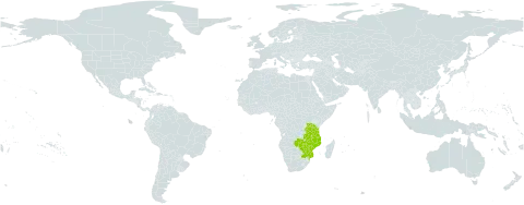 Vanwykia remota world distribution map, present in Mozambique, Malawi, Tanzania, United Republic of, South Africa, Zambia, and Zimbabwe