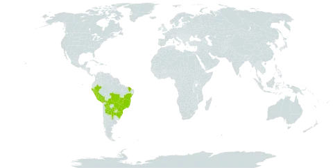 Vasconcellea quercifolia world distribution map, present in Argentina, Bolivia (Plurinational State of), Brazil, Peru, Paraguay, and Uruguay