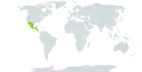 Vatairea lundellii world distribution map, present in Belize, Costa Rica, Guatemala, Honduras, Mexico, Nicaragua, and Panama