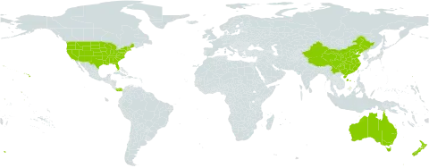 Verbena world distribution map, present in Australia, China, New Zealand, Panama, and United States of America