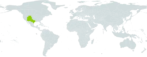 Verbena macdougalii world distribution map, present in United States of America