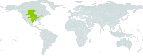 Vernonia fasciculata world distribution map, present in Canada and United States of America