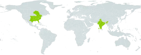 Vernonia gigantea world distribution map, present in Canada, India, and United States of America