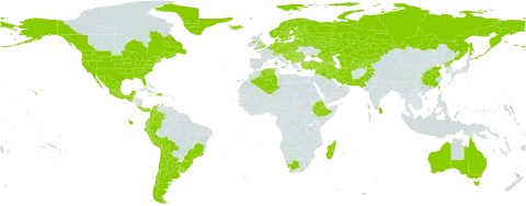 Veronica arvensis world distribution map, present in Afghanistan, Albania, Andorra, Argentina, Armenia, Australia, Austria, Azerbaijan, Belgium, Bulgaria, Bosnia and Herzegovina, Belarus, Bermuda, Bolivia (Plurinational State of), Brazil, Canada, Switzerland, Chile, China, Colombia, Costa Rica, Cyprus, Czech Republic, Germany, Denmark, Dominican Republic, Algeria, Ecuador, Spain, Estonia, Ethiopia, Finland, France, United Kingdom of Great Britain and Northern Ireland, Georgia, Gibraltar, Greece, Greenland, Guatemala, Croatia, Haiti, Hungary, India, Iran (Islamic Republic of), Iraq, Iceland, Israel, Italy, Jamaica, Kazakhstan, Kyrgyzstan, Lebanon, Liechtenstein, Sri Lanka, Lithuania, Luxembourg, Latvia, Madagascar, Mexico, North Macedonia, Malta, Montenegro, Netherlands, Norway, New Zealand, Pakistan, Panama, Peru, Poland, Korea (Democratic People's Republic of), Portugal, Réunion, Romania, Russian Federation, Saint Pierre and Miquelon, Serbia, Slovakia, Slovenia, Sweden, Syrian Arab Republic, Tajikistan, Turkmenistan, Turkey, Taiwan, Province of China, Ukraine, Uruguay, United States of America, Uzbekistan, and South Africa