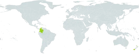 Veronica odora world distribution map, present in Colombia and New Zealand