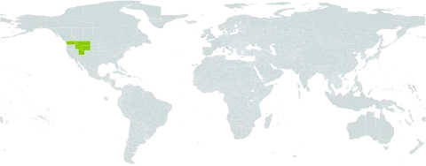 Veronica paysonii world distribution map, present in United States of America