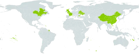 Veronica spicata world distribution map, present in Bulgaria, Belarus, Canada, China, France, United Kingdom of Great Britain and Northern Ireland, Moldova (Republic of), Ukraine, and United States of America