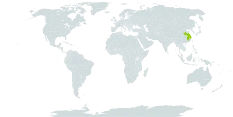 Viburnum melanocarpum world distribution map, present in China