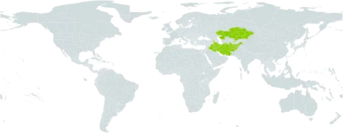 Vicia hyrcanica world distribution map, present in Afghanistan, Armenia, Azerbaijan, Iran (Islamic Republic of), Iraq, Kazakhstan, Kyrgyzstan, Tajikistan, Turkmenistan, and Uzbekistan
