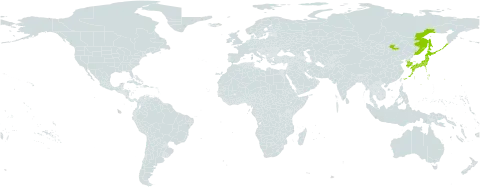 Vicia japonica world distribution map, present in Japan, Korea (Republic of), Mongolia, and Russian Federation