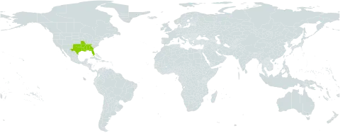 Vicia minutiflora world distribution map, present in United States of America