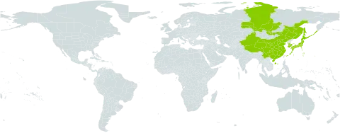 Vicia unijuga world distribution map, present in China, Japan, Korea (Republic of), Mongolia, and Russian Federation