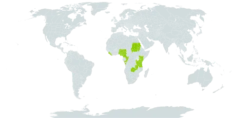 Vigna comosa world distribution map, present in Angola, Burundi, Cameroon, Congo, Kenya, Liberia, Malawi, Nigeria, Rwanda, Sudan, Sierra Leone, Tanzania, United Republic of, Uganda, and Zambia