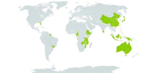 Vigna hosei world distribution map, present in Angola, Australia, Burundi, Brazil, China, Cameroon, Ethiopia, Guadeloupe, Indonesia, India, Japan, Kenya, Saint Lucia, Sri Lanka, Mozambique, Martinique, Malaysia, Papua New Guinea, Rwanda, Suriname, Taiwan, Province of China, Tanzania, United Republic of, Uganda, United States of America, and Zambia
