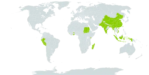 Vigna trilobata world distribution map, present in Bangladesh, Bhutan, China, Ghana, Indonesia, India, Kenya, Sri Lanka, Madagascar, Myanmar, Mauritius, Nepal, Pakistan, Peru, Sudan, Taiwan, Province of China, and Viet Nam