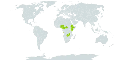 Vigna triphylla world distribution map, present in Angola, Central African Republic, Cameroon, Ethiopia, Kenya, Nigeria, and Zambia