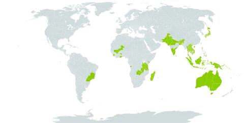 Vigna umbellata world distribution map, present in Angola, Australia, Bangladesh, Brazil, Bhutan, China, Ghana, Indonesia, India, Japan, Kenya, Cambodia, Lao People's Democratic Republic, Sri Lanka, Madagascar, Mali, Mauritius, Malaysia, Nepal, Pakistan, Philippines, Papua New Guinea, Réunion, Solomon Islands, Sierra Leone, Thailand, Tanzania, United Republic of, Viet Nam, and Zambia